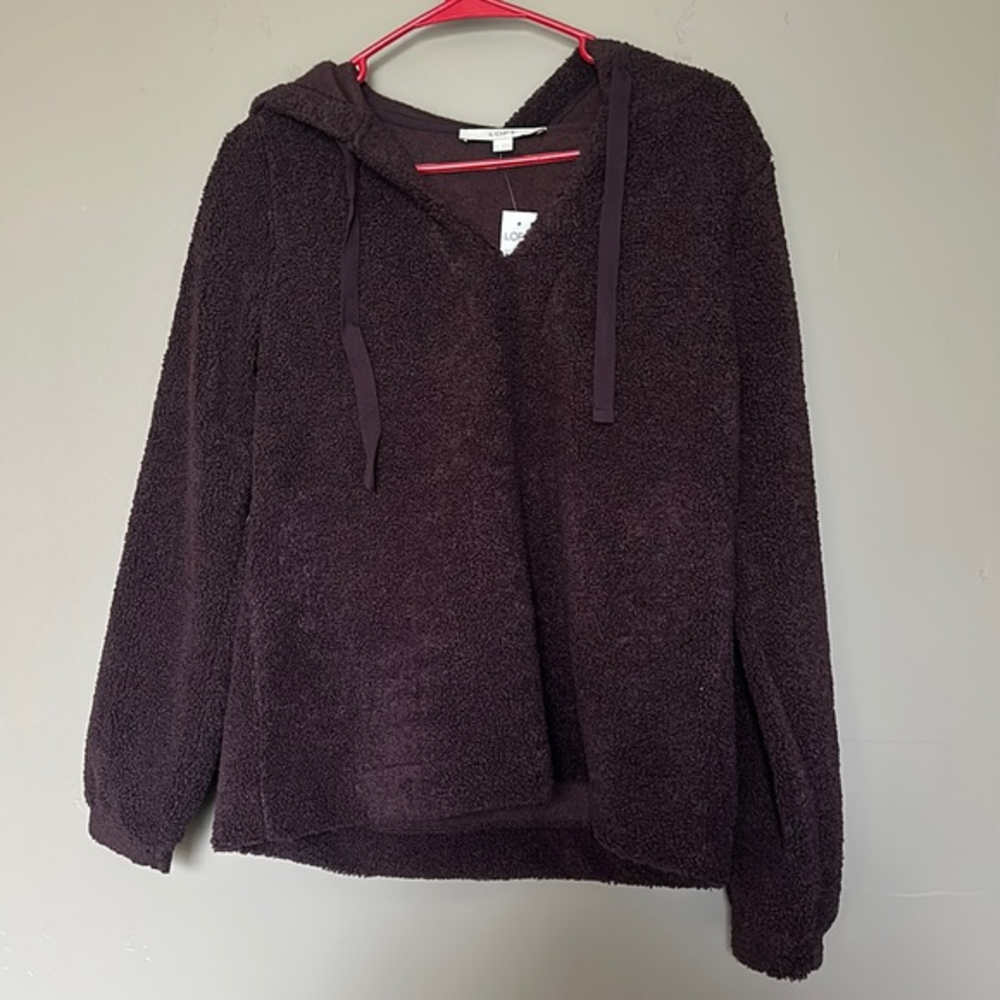 NWT‎ Loft Teddy Sweatshirt